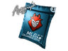 Autograph Capsule | G2 Esports | MLG Columbus 2016