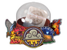 Community Capsule 2018