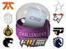 Shanghai 2024 Challengers Sticker Capsule