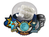 Skill Groups Capsule
